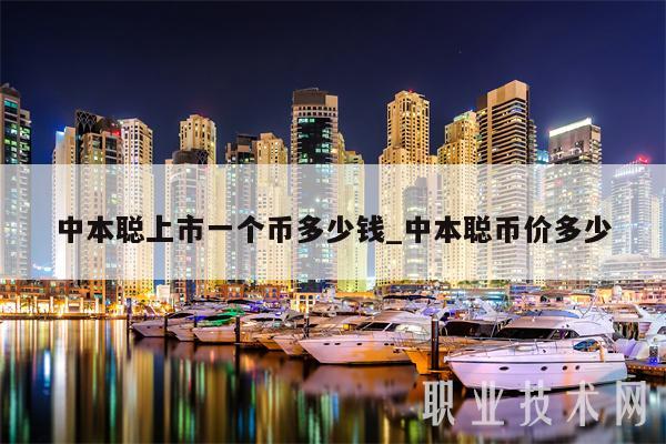 中本聪上市一个币多少钱_中本聪币价多少-第1张图片-交易所